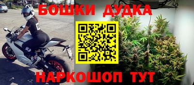 стафф Гусев
