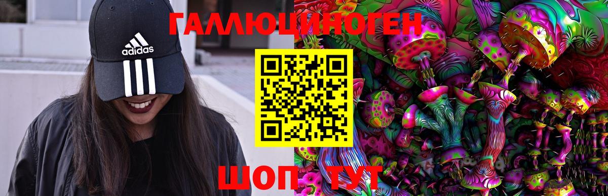 Псилоцибиновые грибы Psilocybe  Вход с VPN  Назрань  Галлюциногенные грибы Psilocybe 